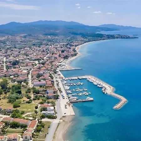 Anna-nikiti 尼基季