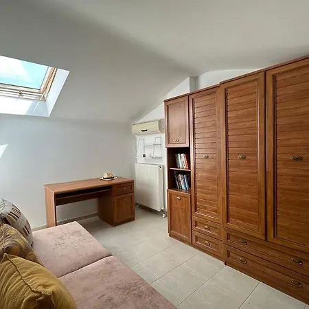 Anna-nikiti * 尼基季