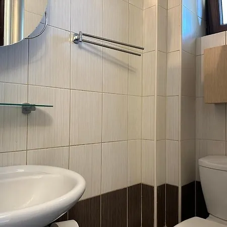 Anna-nikiti 尼基季